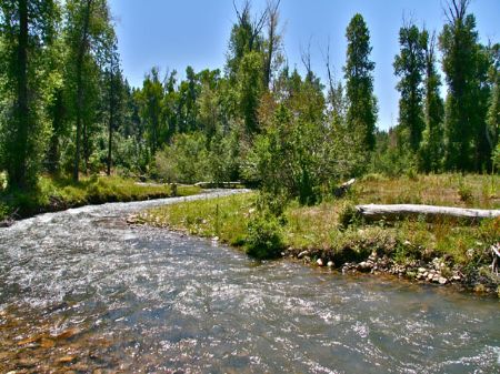 Lazy H River Ranch : Mancos : Montezuma County : Colorado