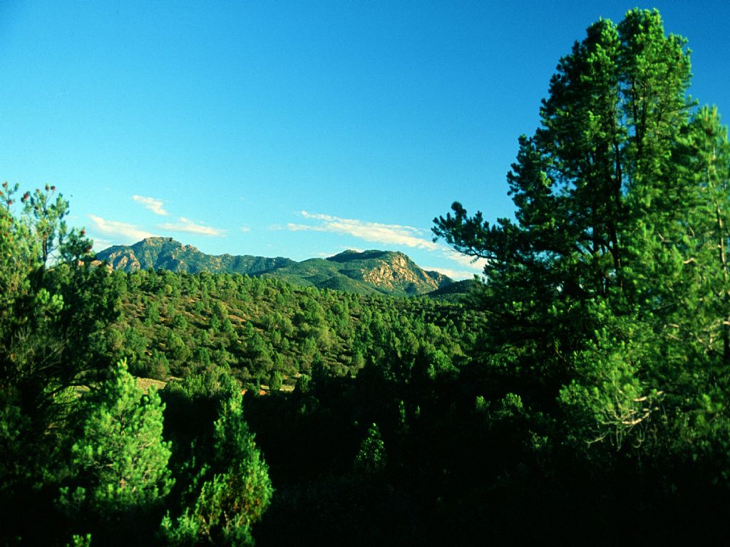 Secluded 36 Acre Wilderness Ranch : Peach Springs : Mohave County : Arizona