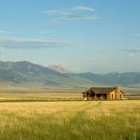 Ranch Focused