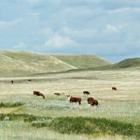 Founded by Land Pros