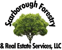 Wendy Scarborough @ Scarborough Forestry & Real Estate Services, LLC
