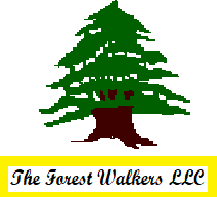 Walker Rivers @ The Forest Walkers LLC