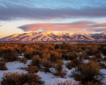 Best Season to Buy Hunting Land