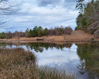 Mixed Timber Hunting Tract with Camp Site