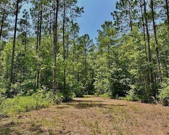 North Carolina Property Offers Everything Needed to Enjoy the Outdoors
