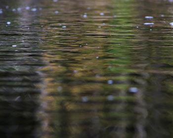 Pulse: Federal Funds Should Favor Hurricane Victims Over Migrants, Foreign Wars