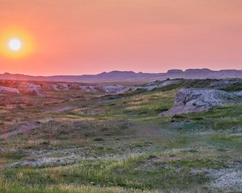 Pulse: Land Prices Climbing Nationally