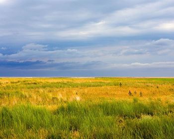 Pulse: Majority Believe the Bureau of Land Management’s Power Should Be Curtailed