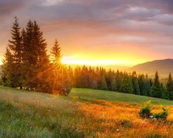 Restricted vs. Unrestricted Land: Making the Right Investment Choice