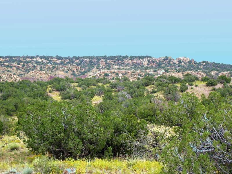 Quiet Wilderness Ranch $248 Mo. : Saint Johns : Apache County : Arizona