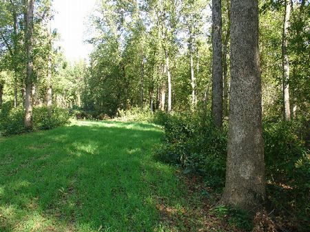 229 Acres Plus Weoka Creek : Equality : Elmore County : Alabama
