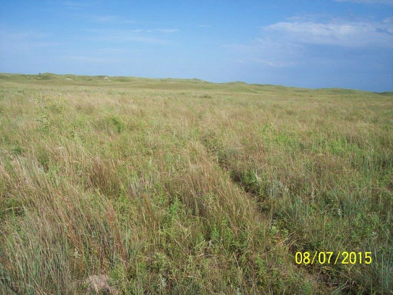 Wild Horse Creek Ranch : Dunning : Logan County : Nebraska
