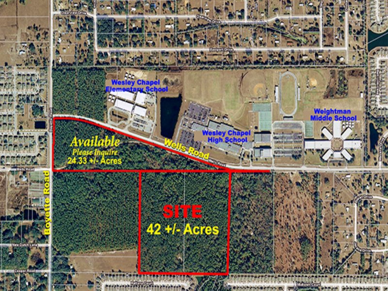 Wesley Chapel Acreage : Wesley Chapel : Pasco County : Florida