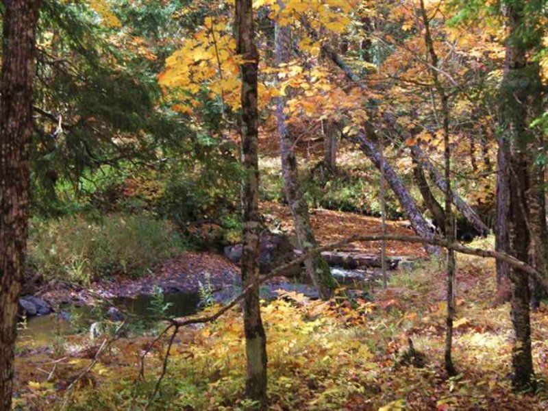 Herman Rd 78 , Mls 1091542 : L'Anse : Baraga County : Michigan