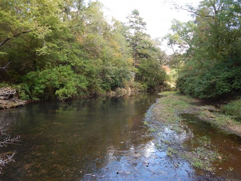 Ginntown Road : Tylertown : Walthall County : Mississippi