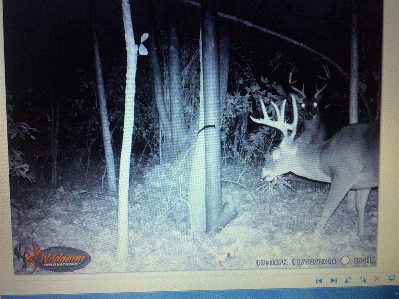 Simmons Branch Farm : Clanton : Chilton County : Alabama