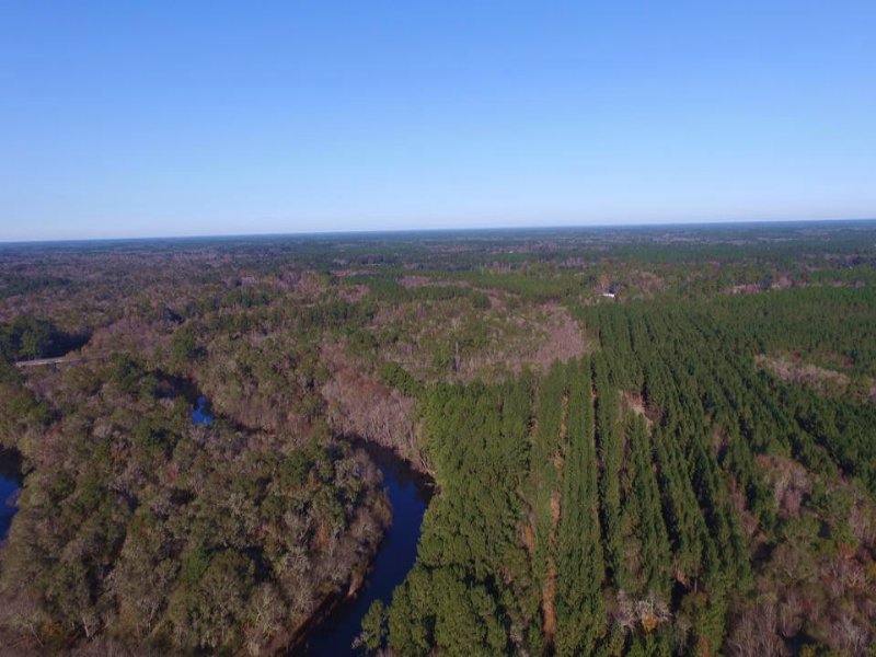 936 Acre Timber Investment : Nahunta : Brantley County : Georgia