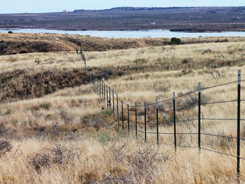 Ute Lake Ranch Multiparcel Auction, Ranch Auction in New Mexico