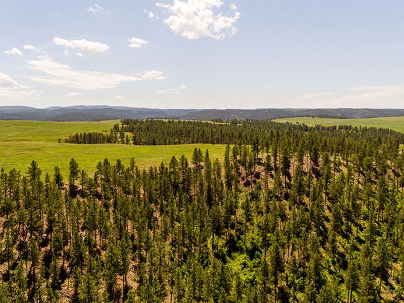 Supon Ranch Acreage Ranch for Sale in Beulah, Crook County, Wyoming
