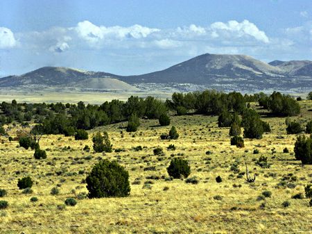40 Acre Ranch : Show Low : Apache County : Arizona
