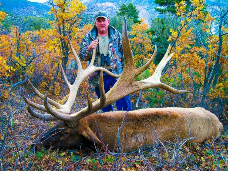 High Fence Elk Ranch : Marysvale : Piute County : Utah