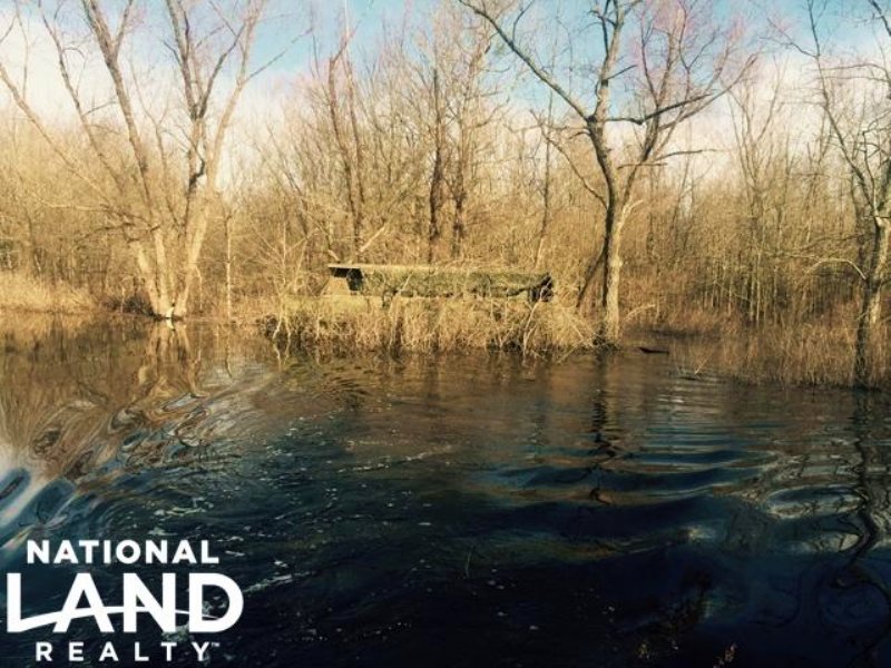 80 Acre Flooded Green Timber Duck : Humnoke : Lonoke County : Arkansas