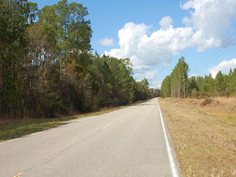 42 Acres Pines & Hardwood a-482 : Hawthorne : Alachua County : Florida