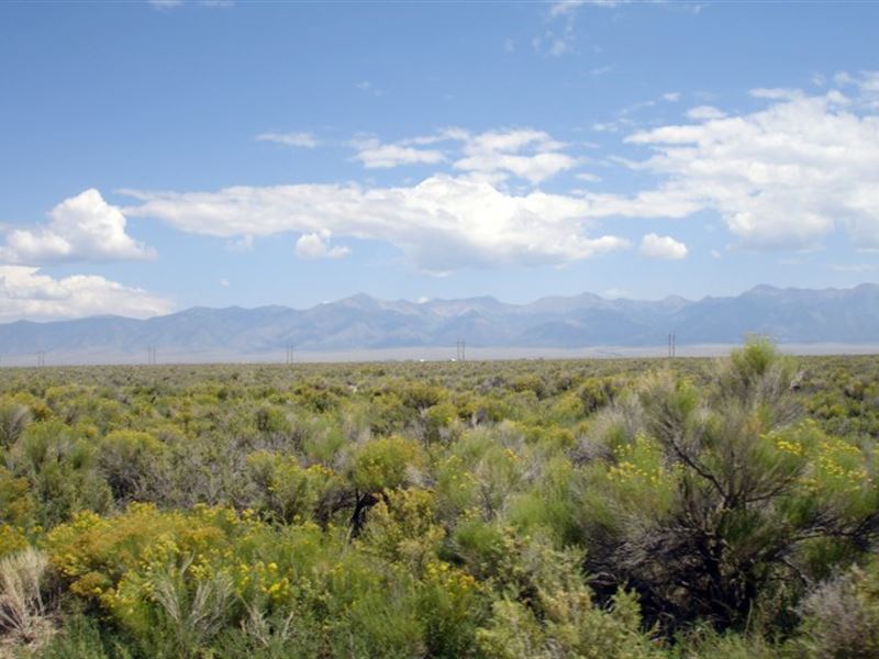 160 Acres Of Peace and Quiet : Saguache : Saguache County : Colorado
