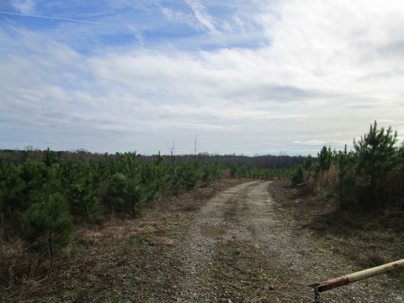 95ac Big Deer On Auchumpkee Creek : Culloden : Upson County : Georgia
