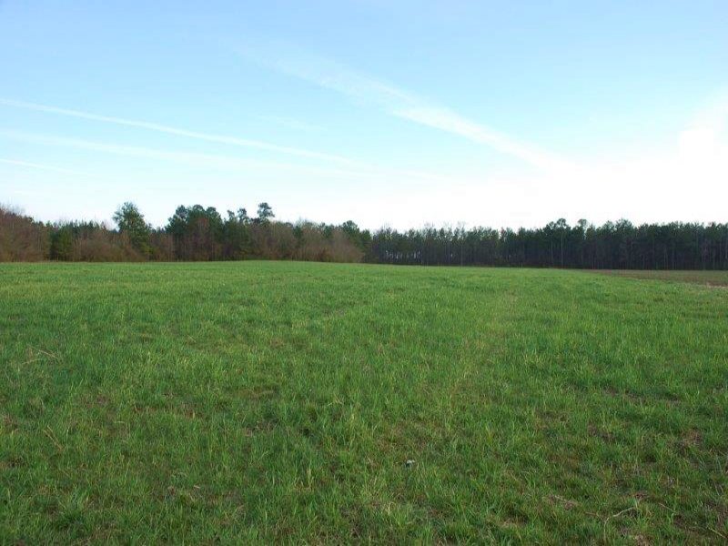 Nice Farm and Timberland Tract : Saint Pauls : Robeson County : North Carolina