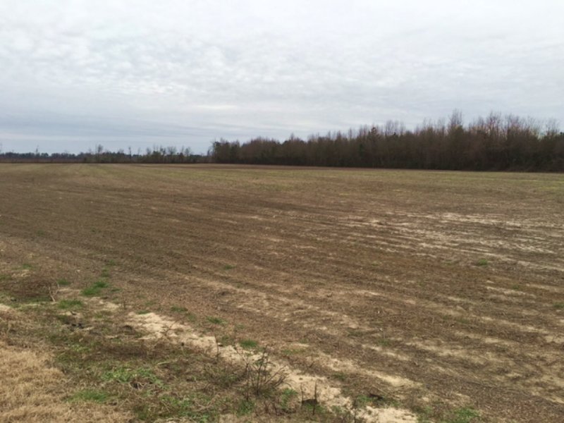 34 Acre Farm On Stedman Road : Maxton : Robeson County : North Carolina