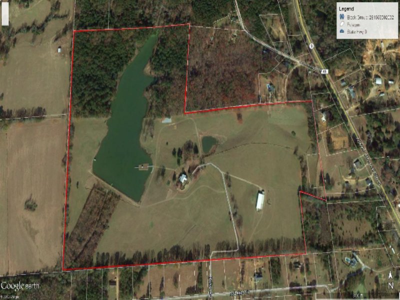 White Creek Cattle Farm : Eupora : Webster County : Mississippi