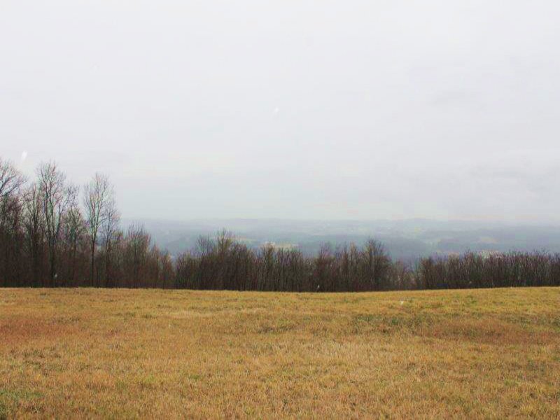 Land in The Mohawk Valley 95 Acres, Ranch for Sale in New York, 104390