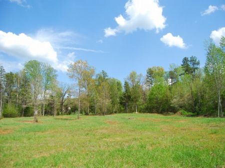 16 Acre Wooded Tract : Roebuck : Spartanburg County : South Carolina