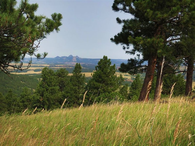 Bear Lodge Ranch : Sundance : Crook County : Wyoming