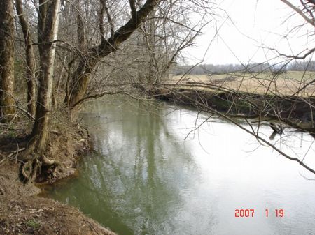 14 Acres On Chestuee Creek : Etowah : McMinn County : Tennessee