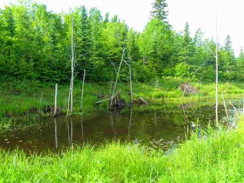 N Firesteel Rd, : Greenland : Ontonagon County : Michigan