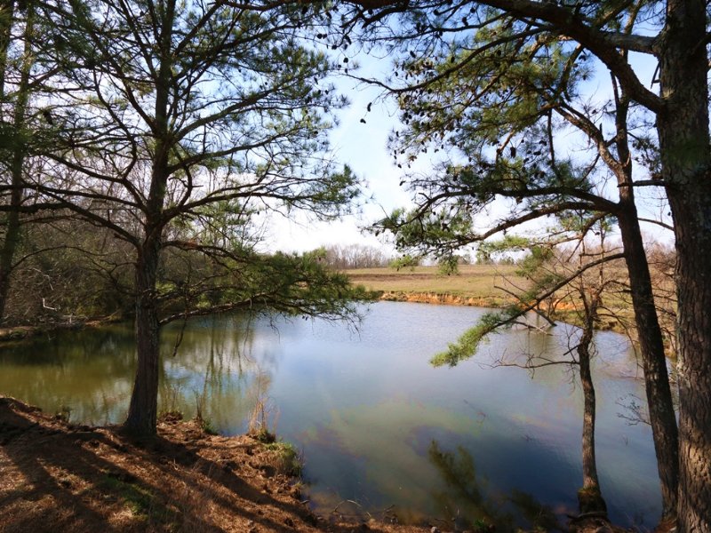 Mulberry River, Pond, & Pasture : Blountsville : Blount County : Alabama