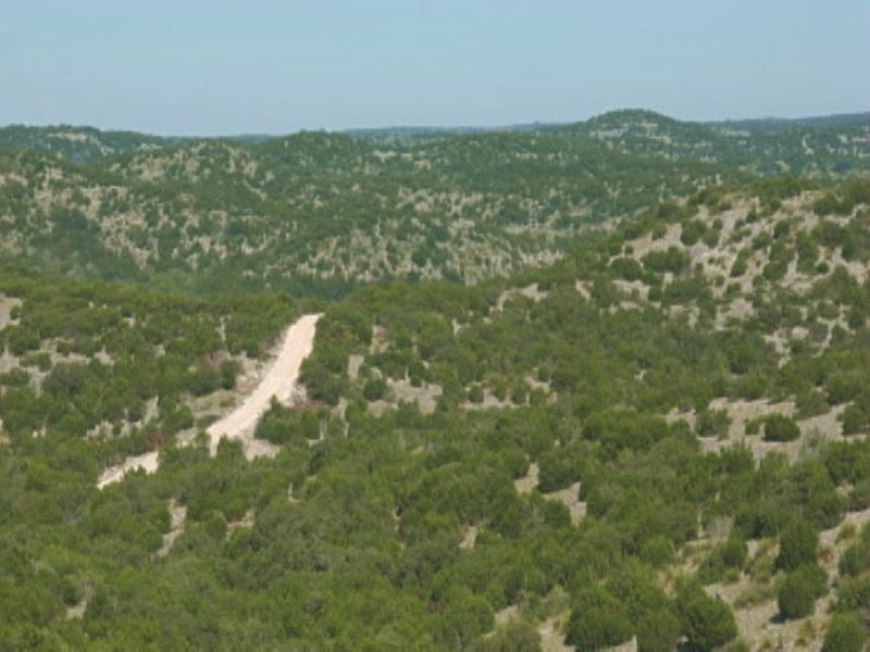 Hill Country Hunting : Rocksprings : Edwards County : Texas