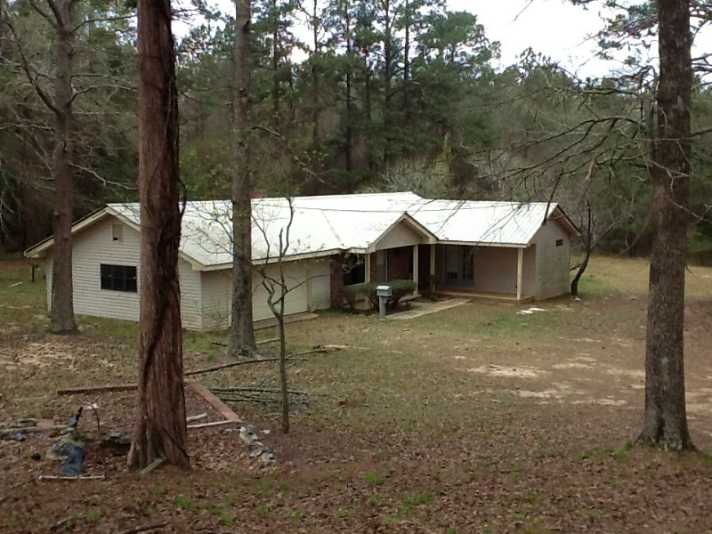 Fleetwood Tract with House : Glenwood : Pike County : Alabama