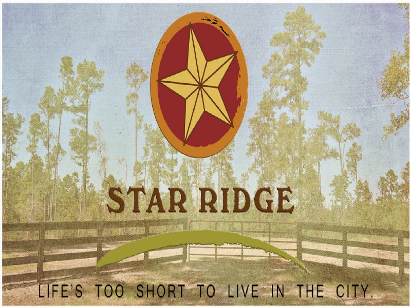 10.05 Acres Star Ridge : Livingston : Polk County : Texas