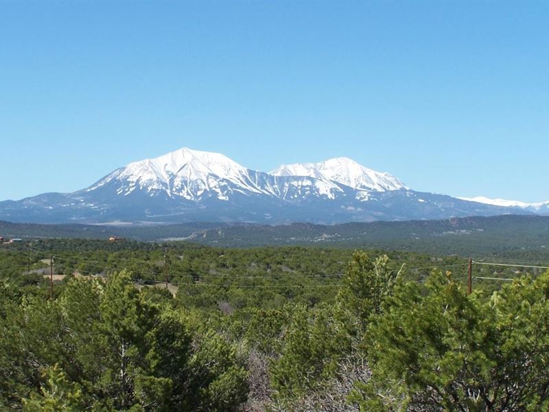 52 Silver Spurs Ranch : Walsenburg : Huerfano County : Colorado
