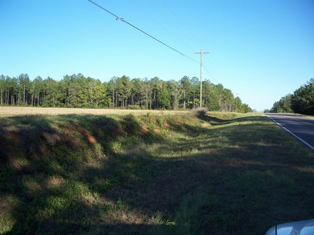 173.071 Acres : Shellman : Randolph County : Georgia