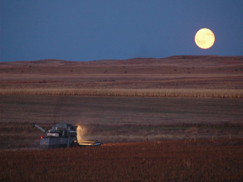 Moeller Farm, Ranch and Hunting : Winner : Tripp County : South Dakota