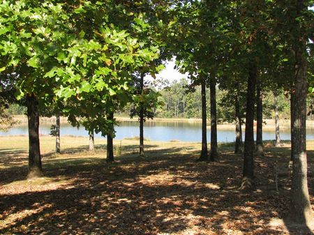 Wilson Ranch : Decatur : Morgan County : Alabama