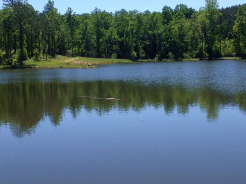 Indian Hills Farm 342acres : Saco : Pike County : Alabama