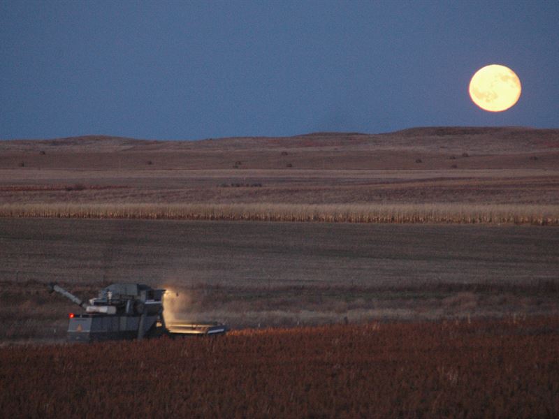 Moeller Farm, Ranch and Hunting : Winner : Tripp County : South Dakota