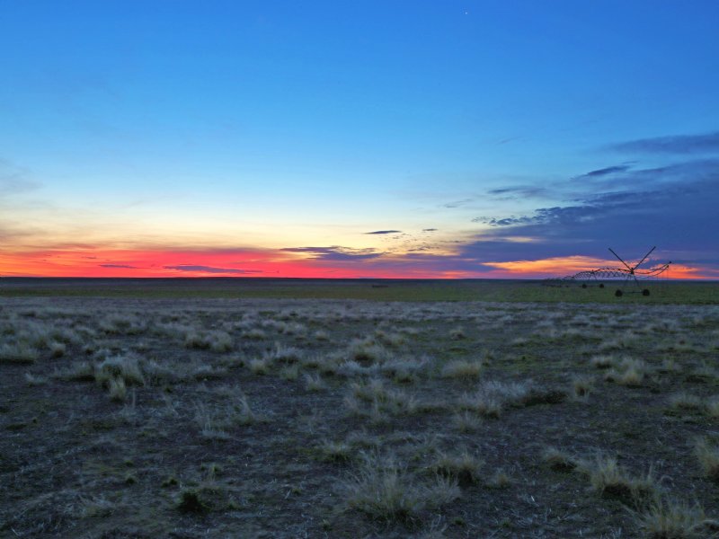 Fry Farms : Keyes : Cimarron County : Oklahoma