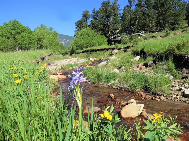 Little Creek Ranch : Allenspark : Larimer County : Colorado