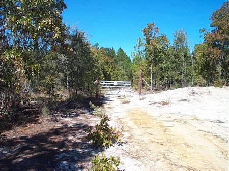 Beautiful 134 Acre Hunting Tract : Swainsboro : Emanuel County : Georgia